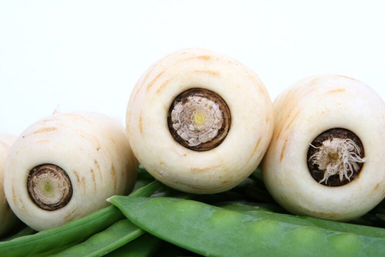 Pastinake – Rezepte für die Gesundheit