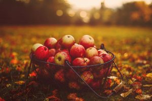 Ernährungsempfehlung für den Herbst