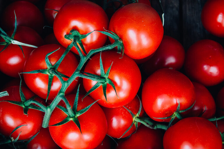 Gefüllte Couscous – Tomaten